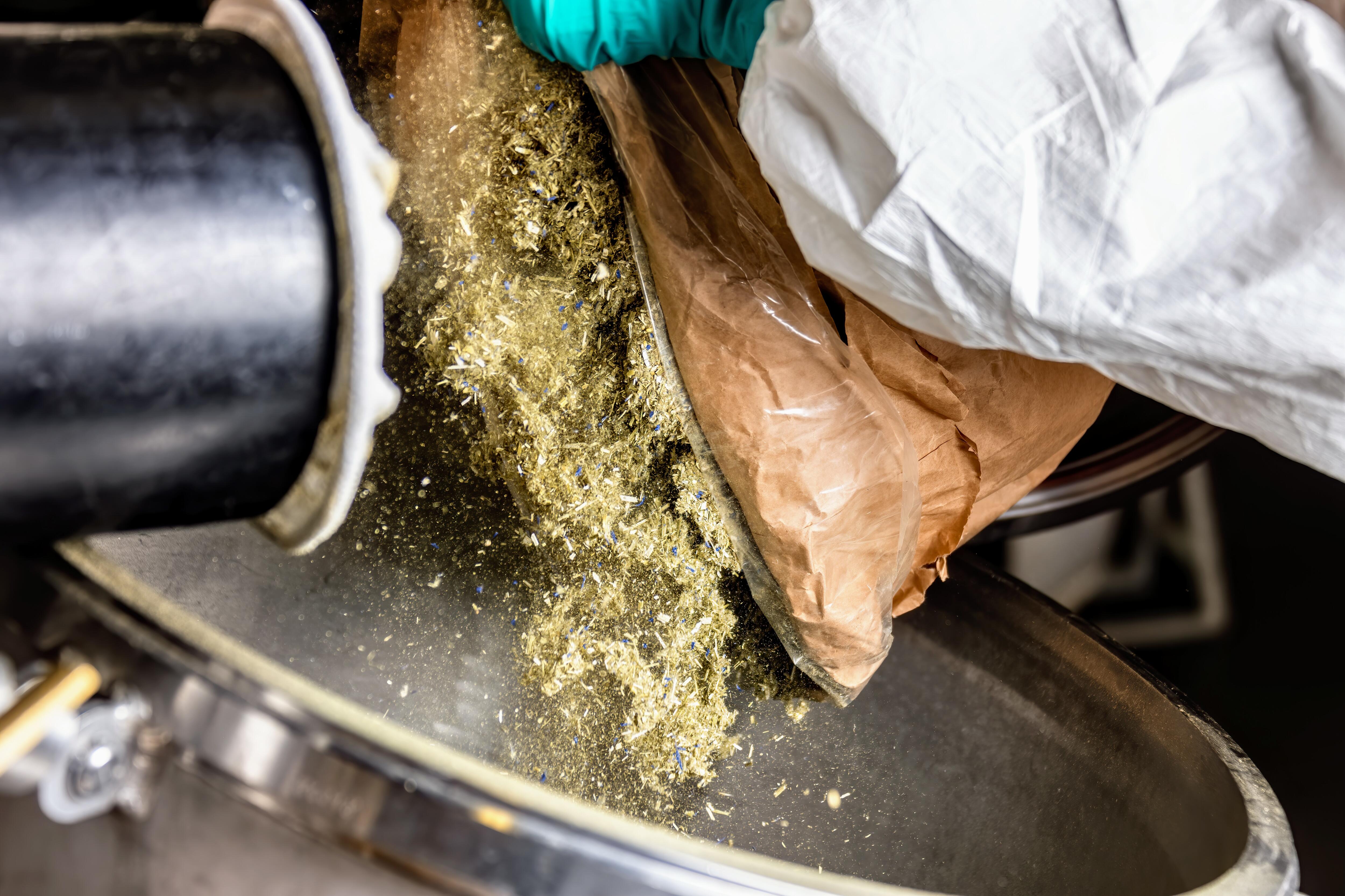 Die Blüten werden am Standort Gaillac, 200 m vom Feld entfernt, eingeweicht und destilliert. Die Extraktion erfolgt mit Wasser, um einen möglichst natürlich konzentrierten Extrakt zu erhalten.